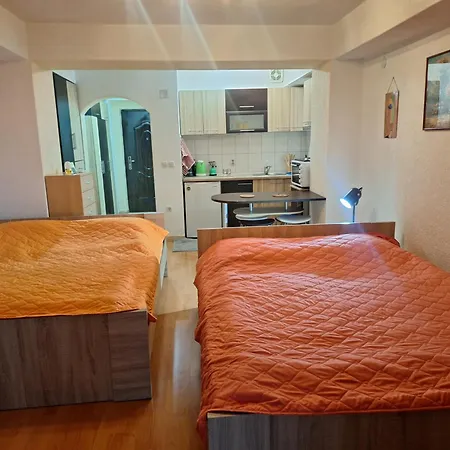 Apartment Darvik *